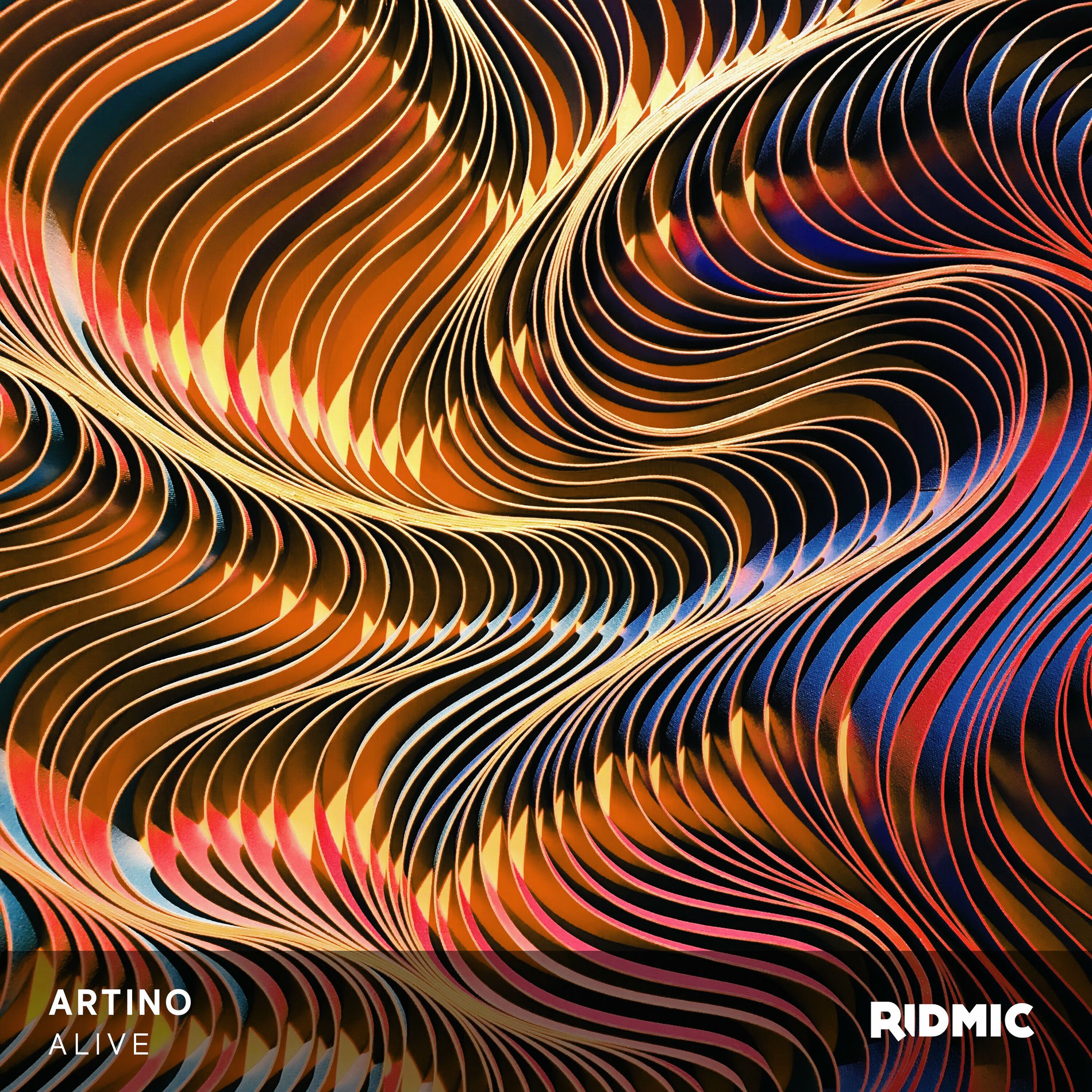 Album cover of Alive