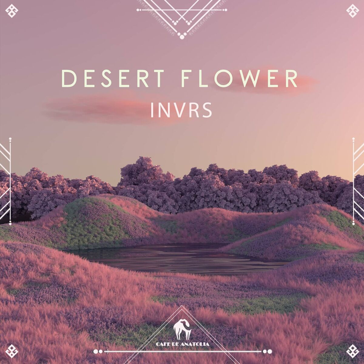 Album cover of Desert Flower