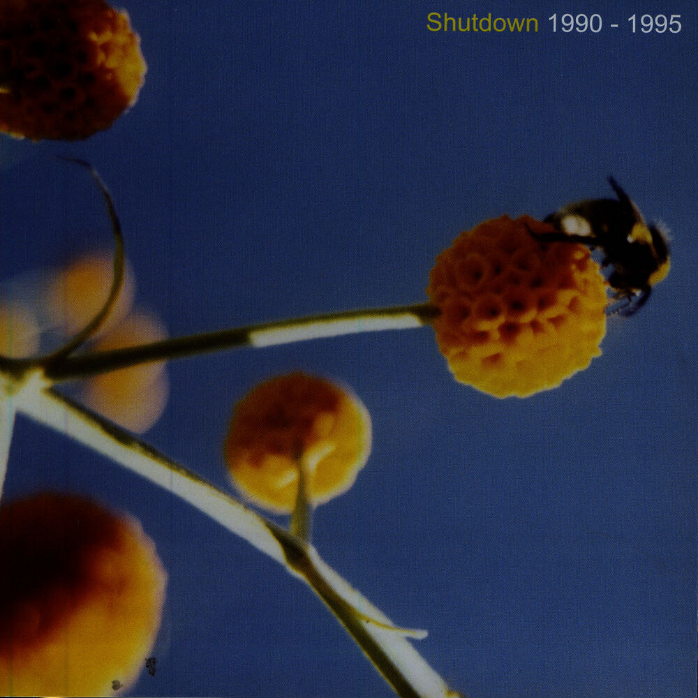 Picture of Shutdown 1990-1995