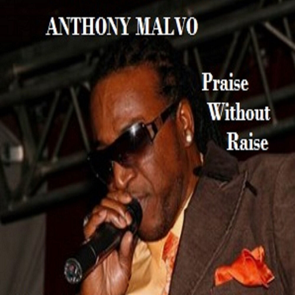 Picture of Praise Without Raise