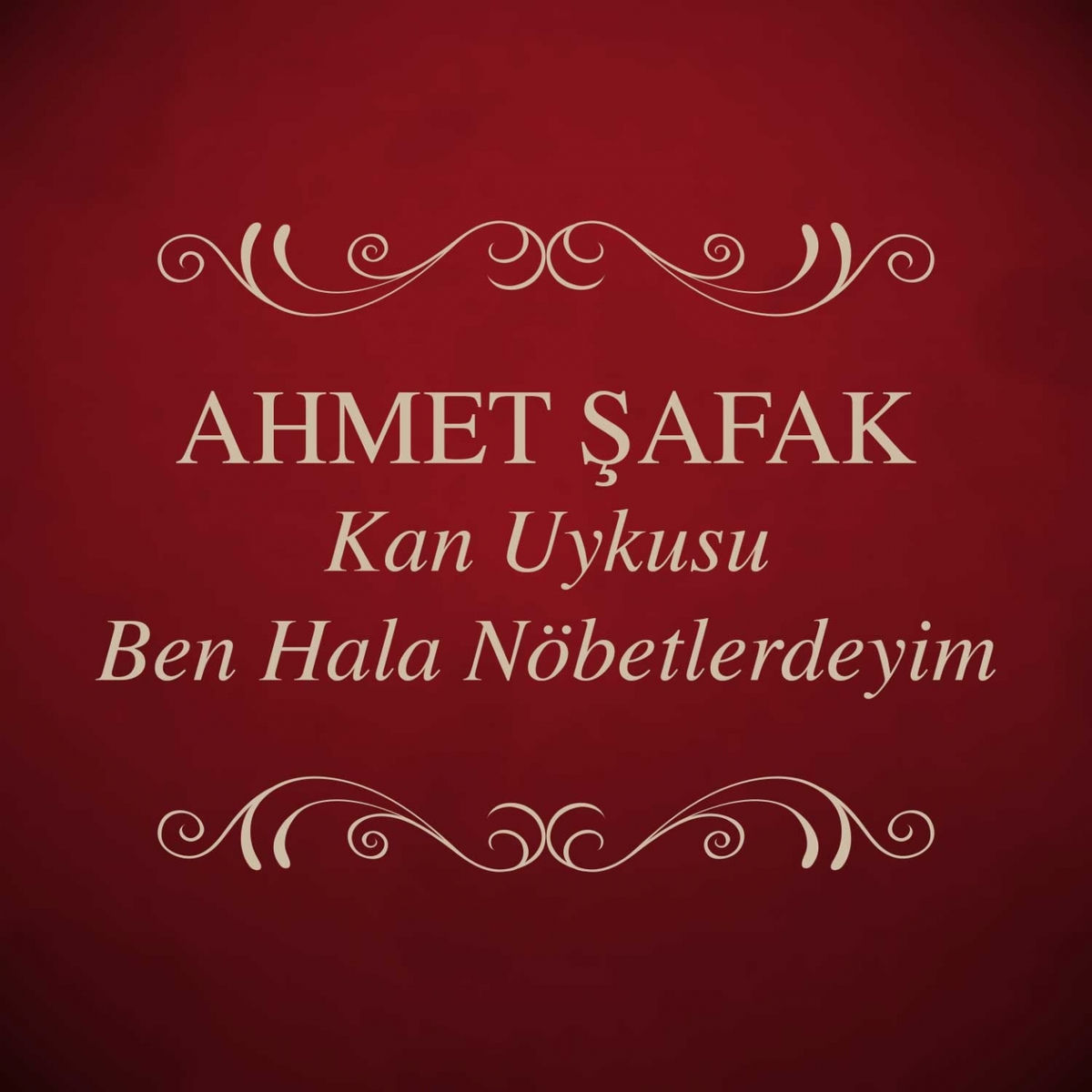 Album cover of Ben Hala Nöbetlerdeyim
