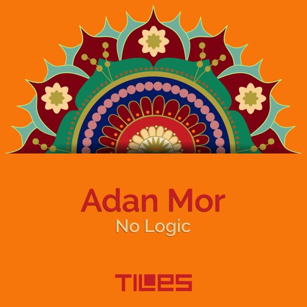Picture of No Logic