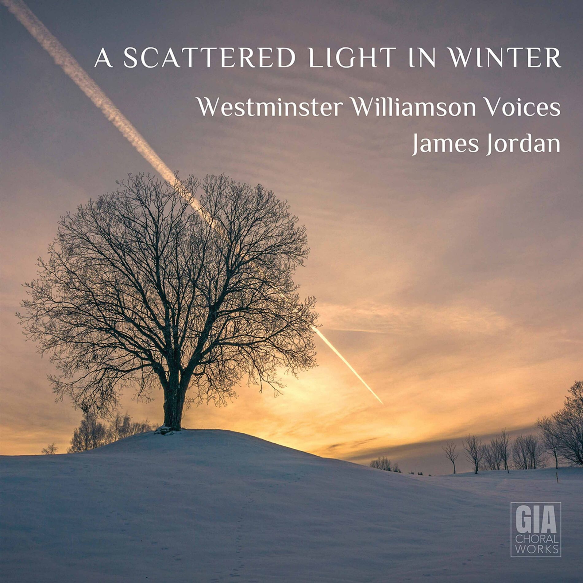 Album cover of In the Bleak Midwinter