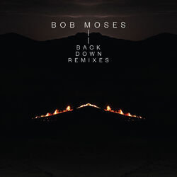 Cover of Back Down (Remixes)