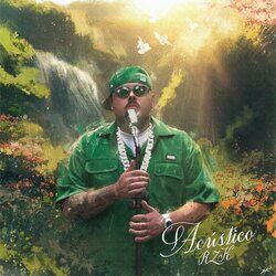 Cover of Liberdade É pra Quem Tem