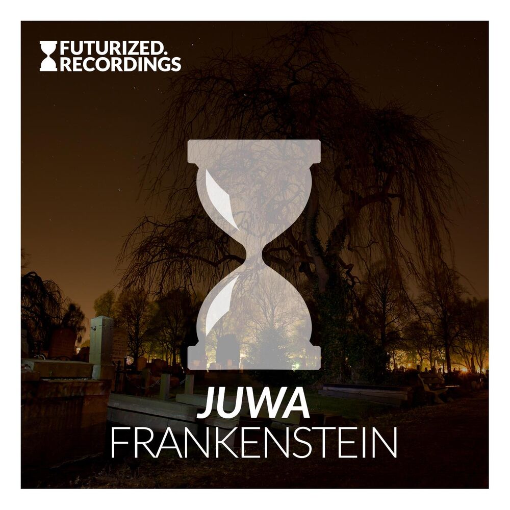 Picture of Frankenstein