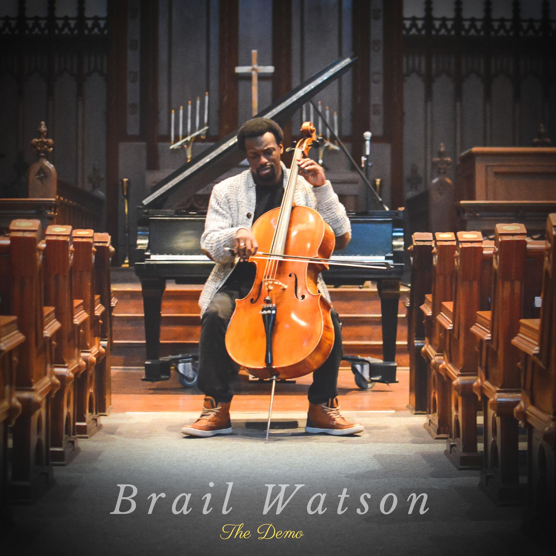Album cover of The Demo