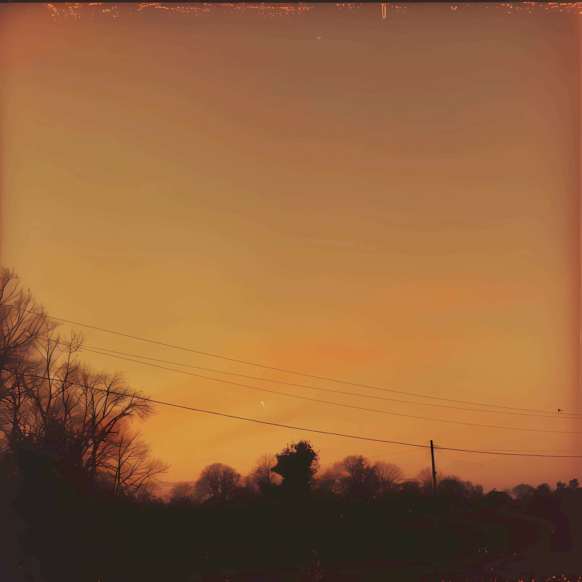 Album cover of us in moonlight