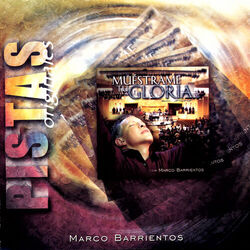 Cover of Muéstrame Tu Gloria Split Tracks