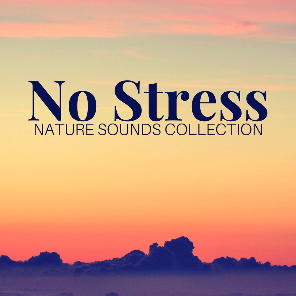 Picture of No Stress - Nature Sounds Collection, Instrumental Background Relaxing Music for Stress Relief