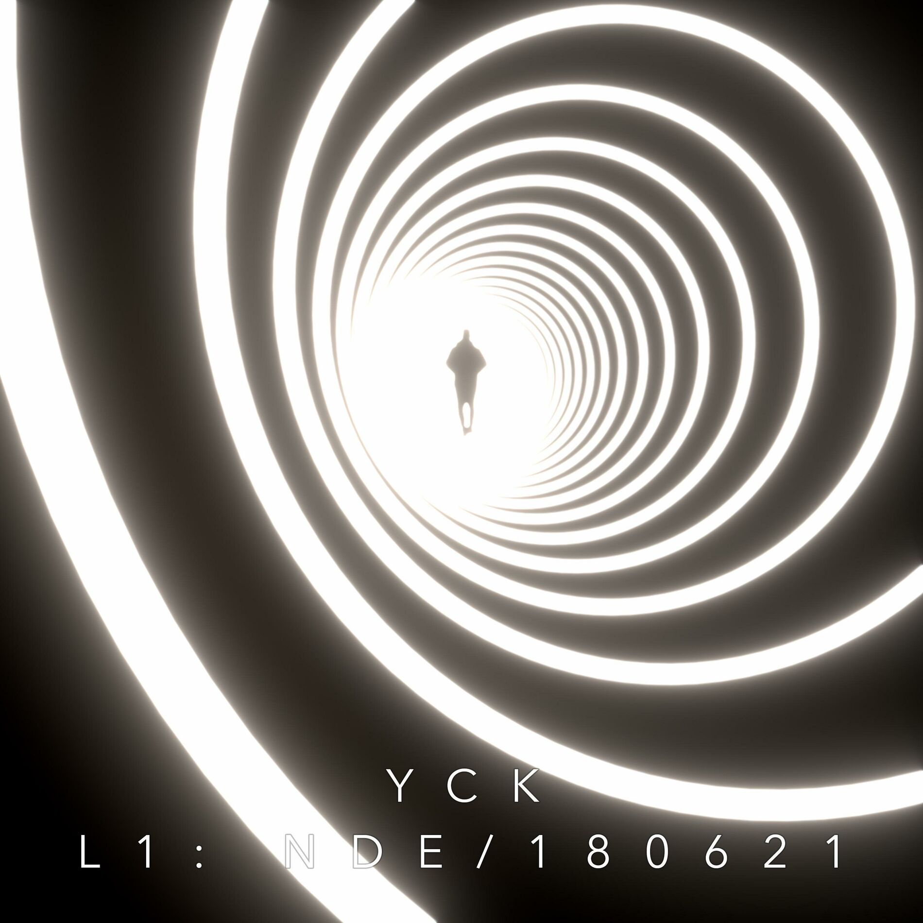 Album cover of L1: NDE / 180621