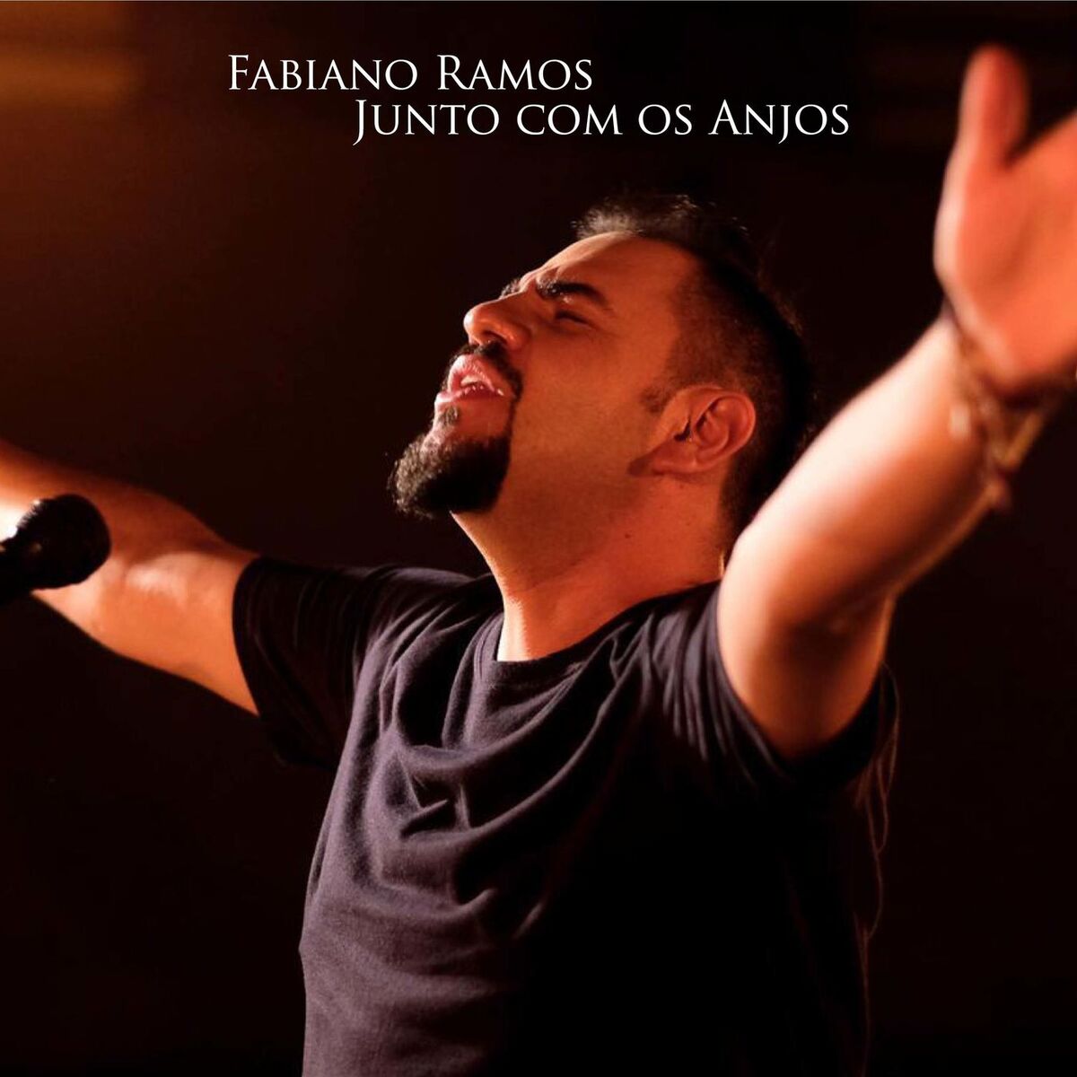 Album cover of Junto com os Anjos