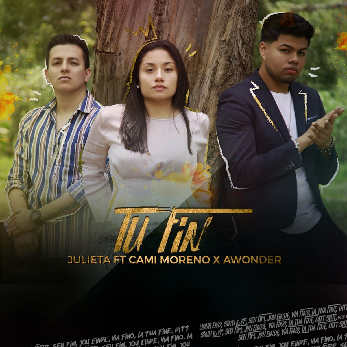 Album cover of Tu Fin