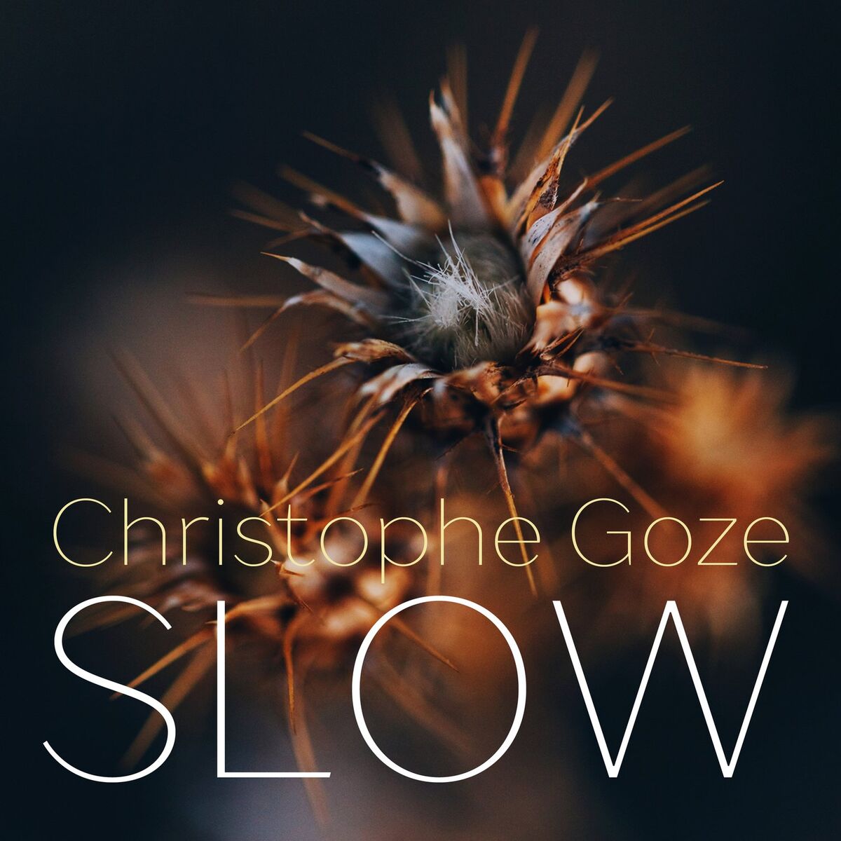 Album cover of Slow
