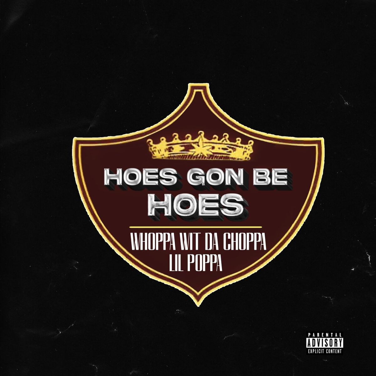 Album cover of Hoes Gon Be Hoes