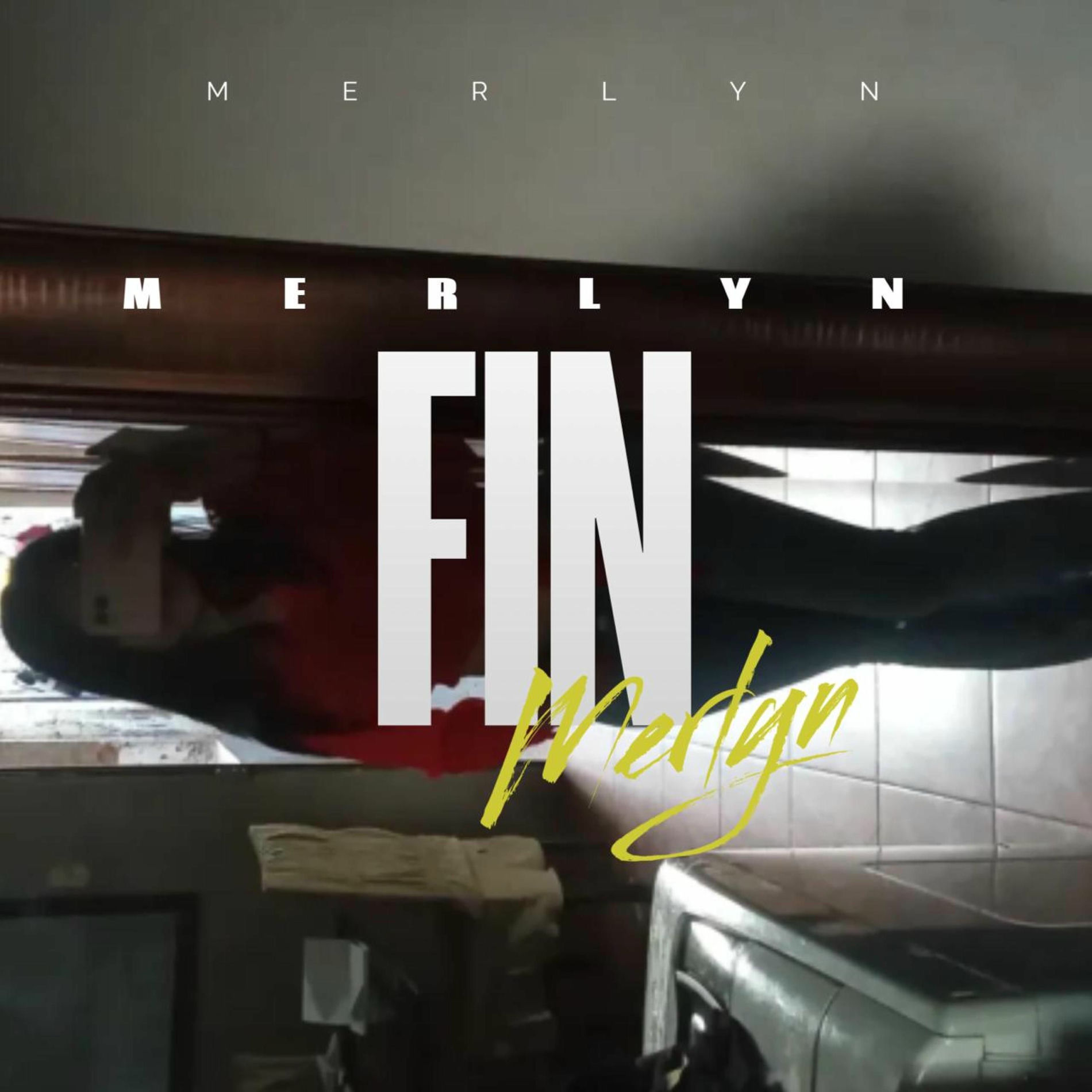 Album cover of Fin