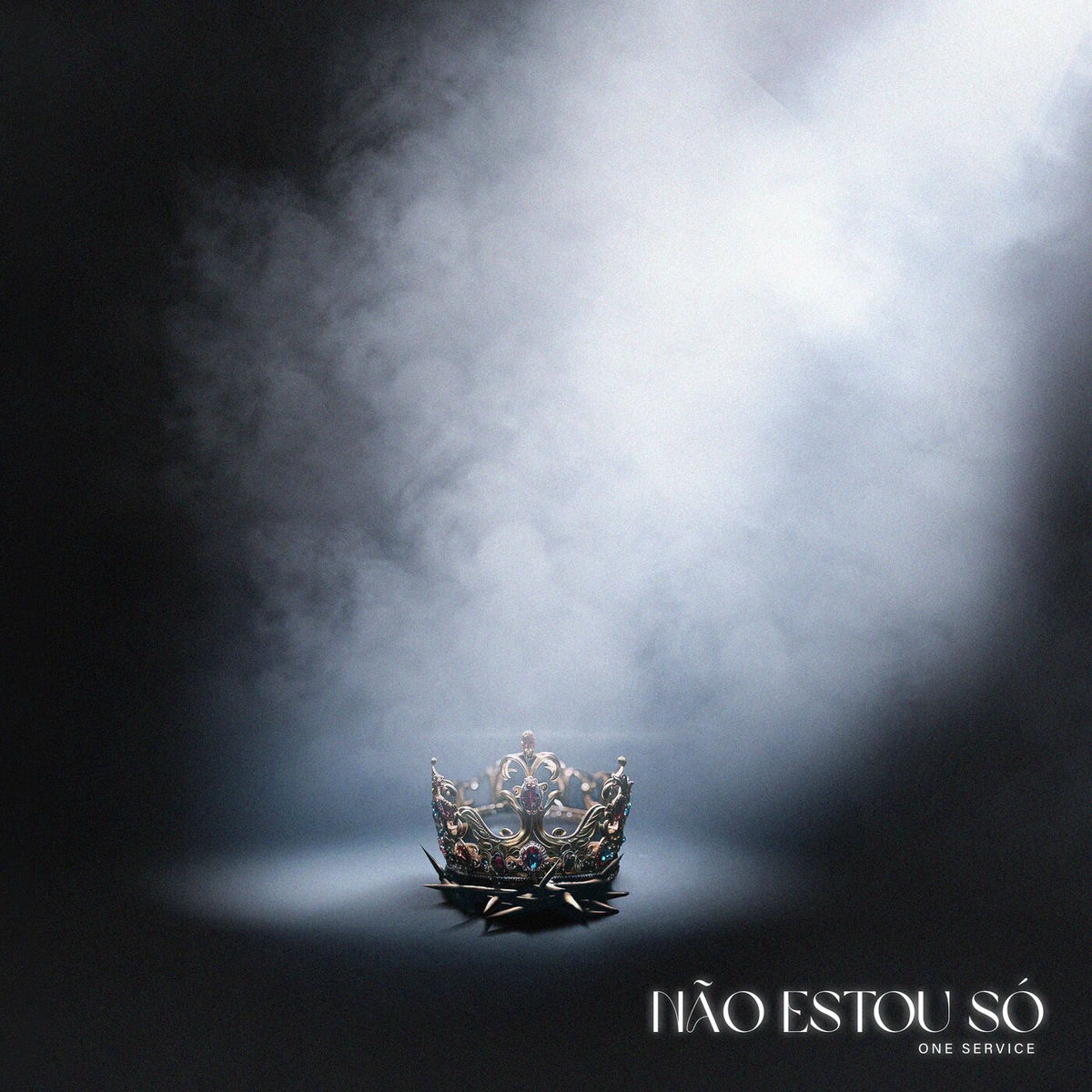 Album cover of Não Estou Só