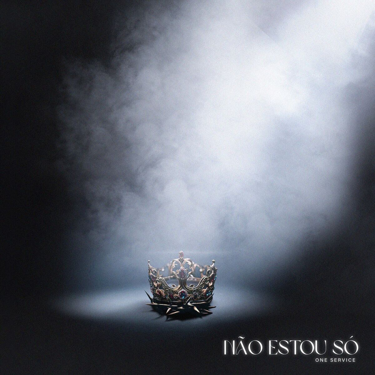 Album cover of Não Estou Só