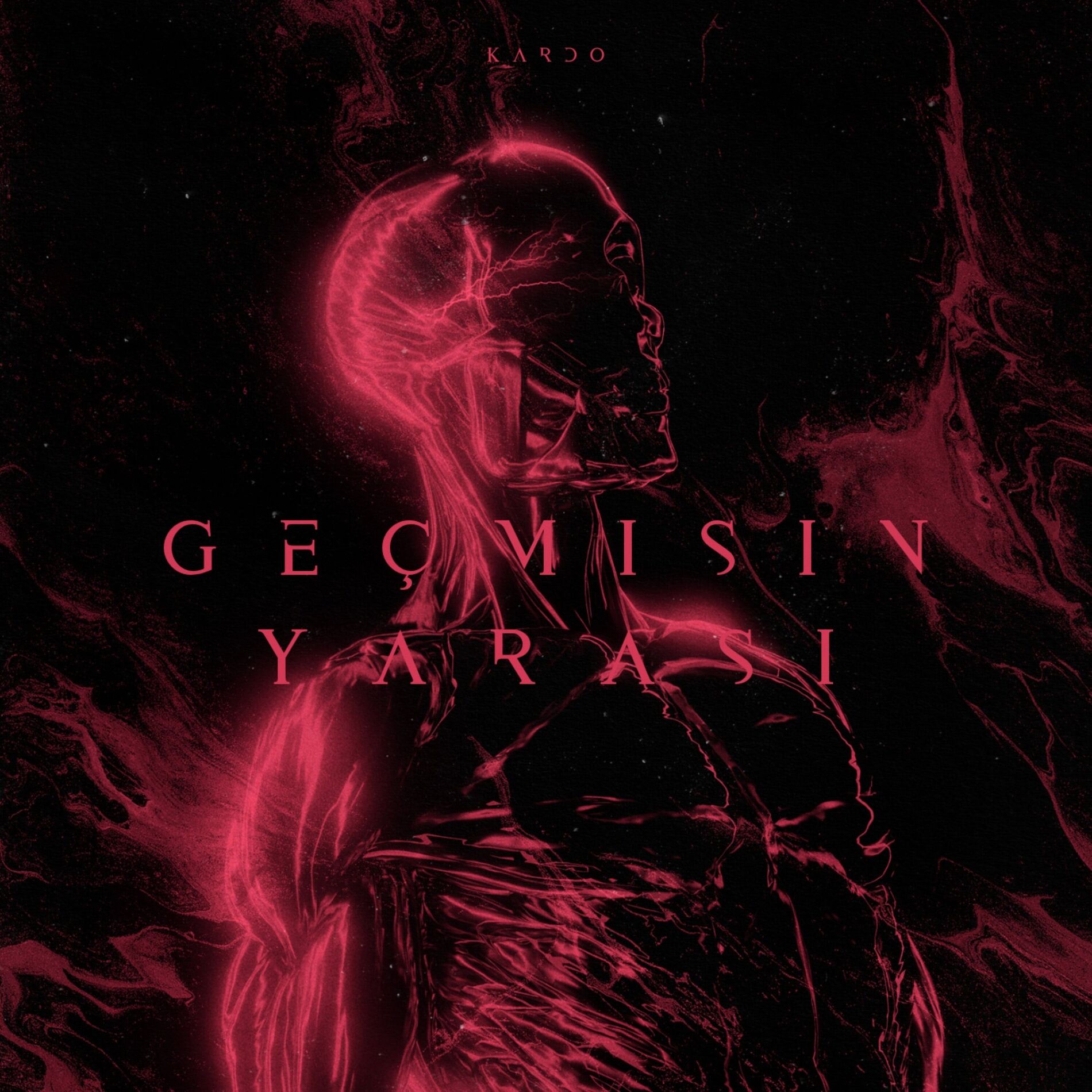 Album cover of Geçmişin Yarası