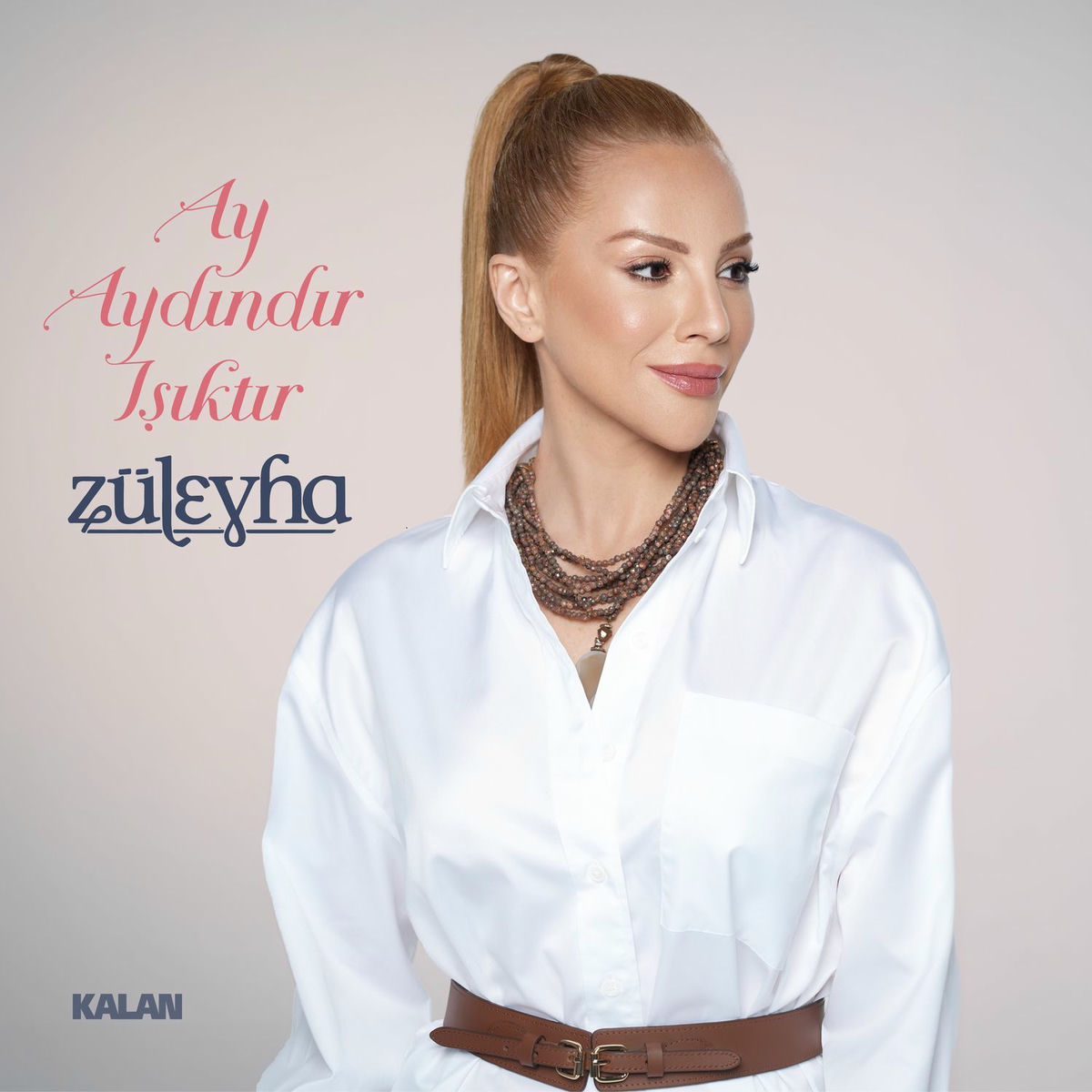 Album cover of Ay Aydındır Işıktır