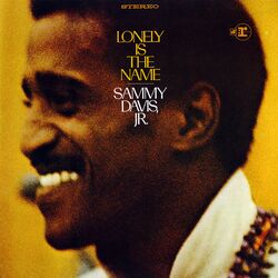 Cover of Lonely Is The Name