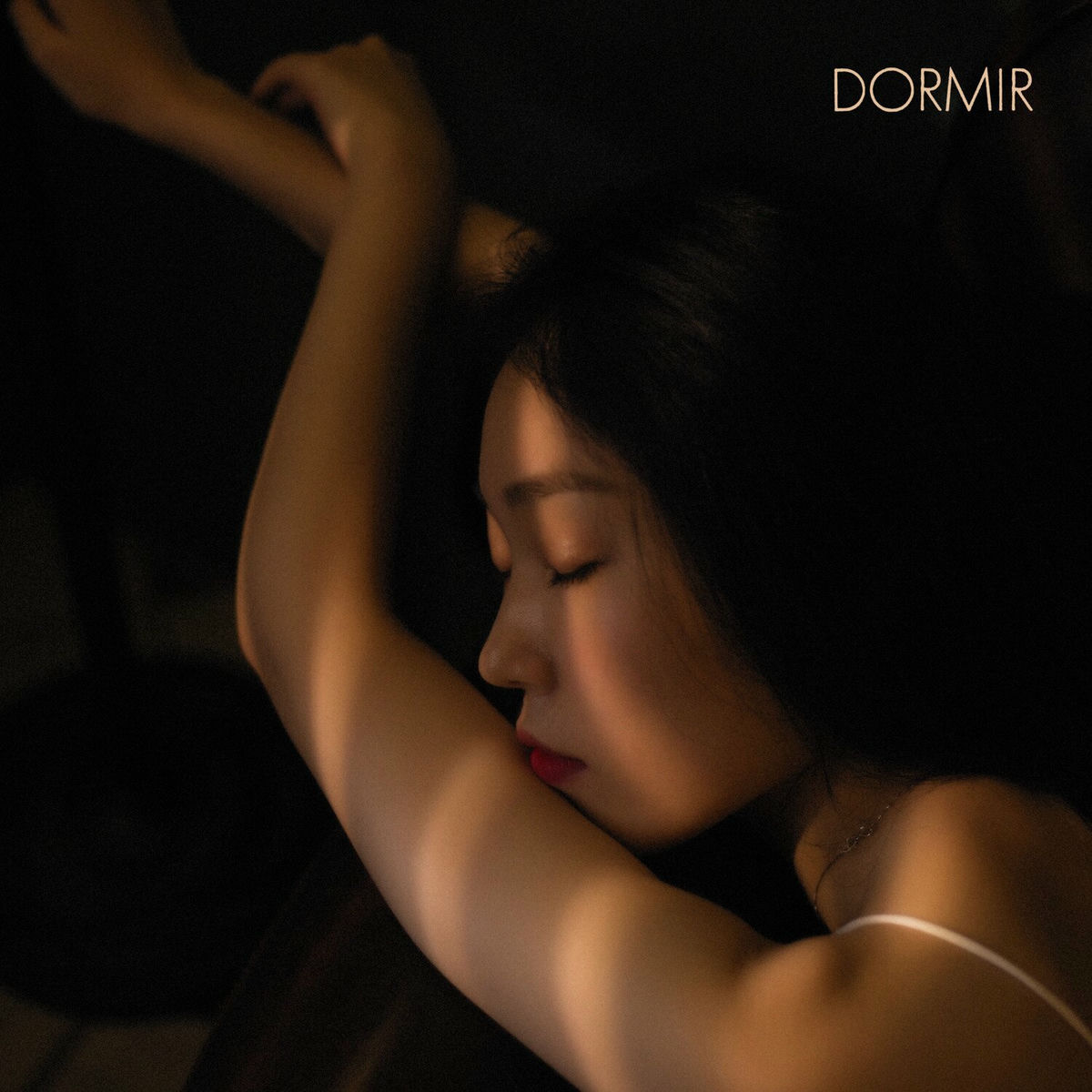 Album cover of Dormir