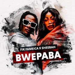 Cover of Bwepaba