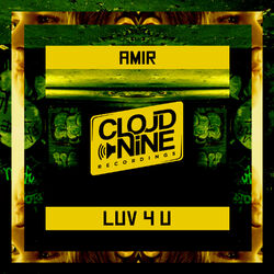 Cover of Luv 4 U