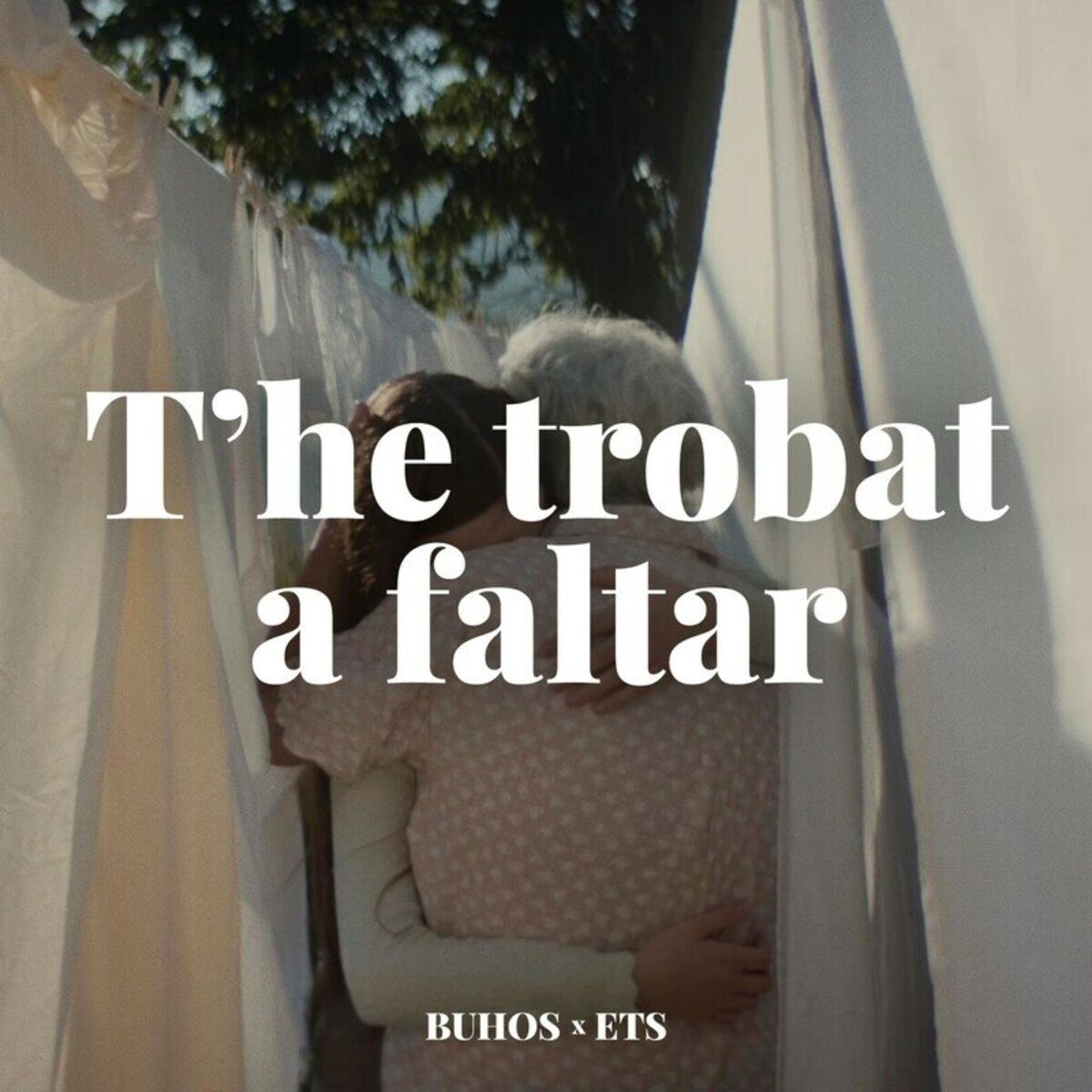 Album cover of T'he Trobat a Faltar