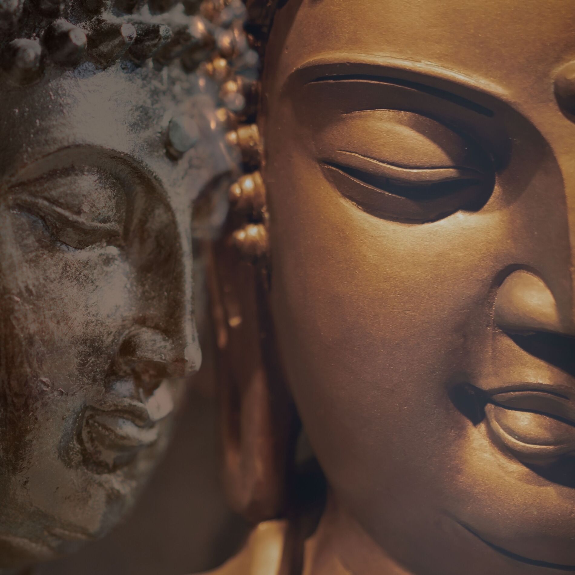 Album cover of Buddha’s Bowl Vibration