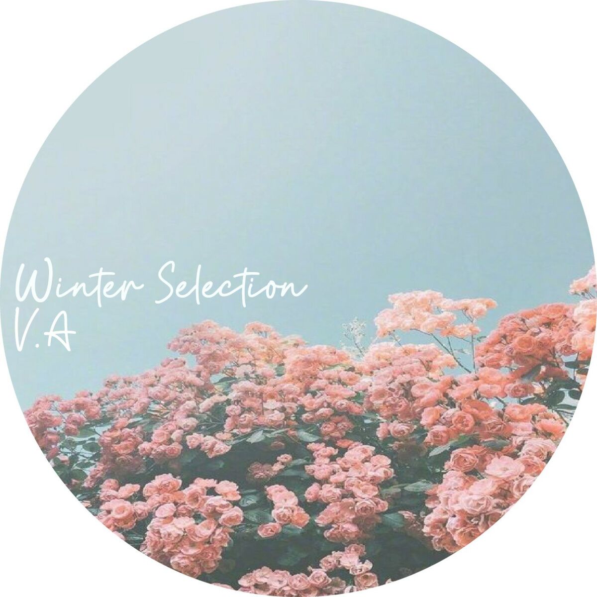 Album cover of Winter Selection