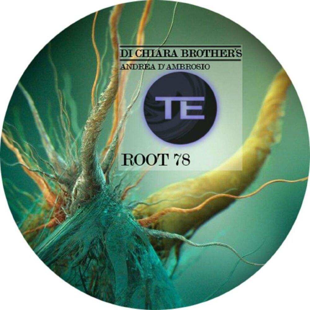 Picture of Root 78