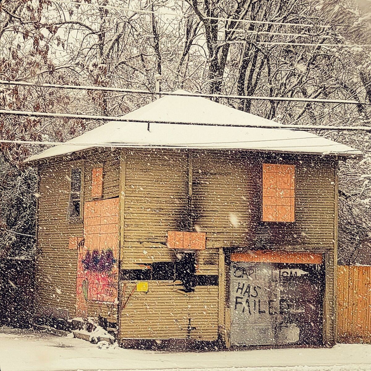 Album cover of Cold Blooded (Explicit)