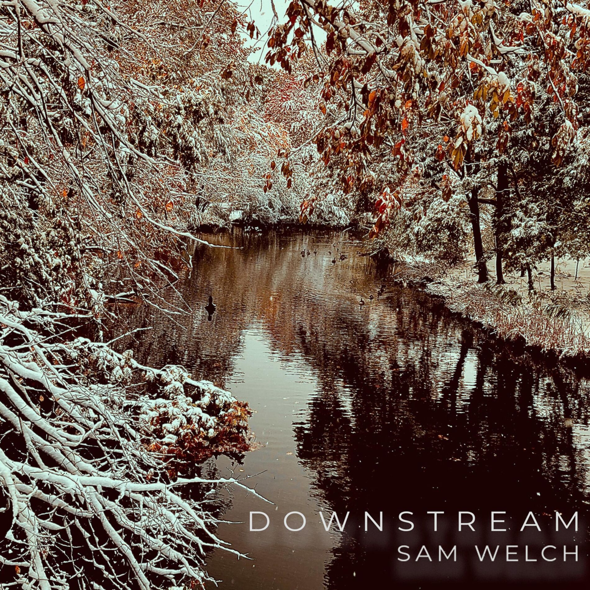 Album cover of Downstream