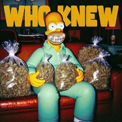 Cover of Who Knew