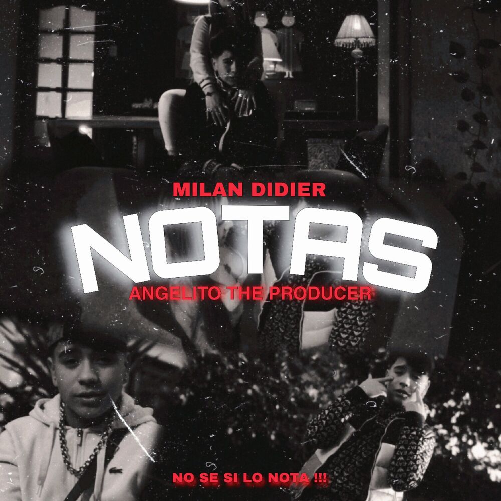 Picture of Notas