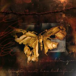 Cover of Ever