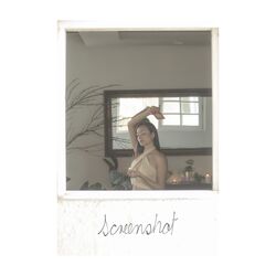 Cover of Screenshot