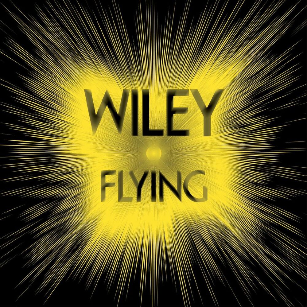 Picture of Flying