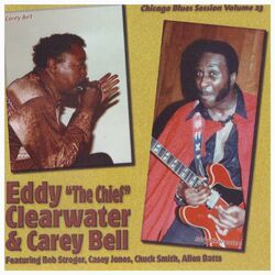 Cover of Chicago Blues Session, Vol. 23