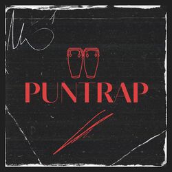 Cover of Puntrap