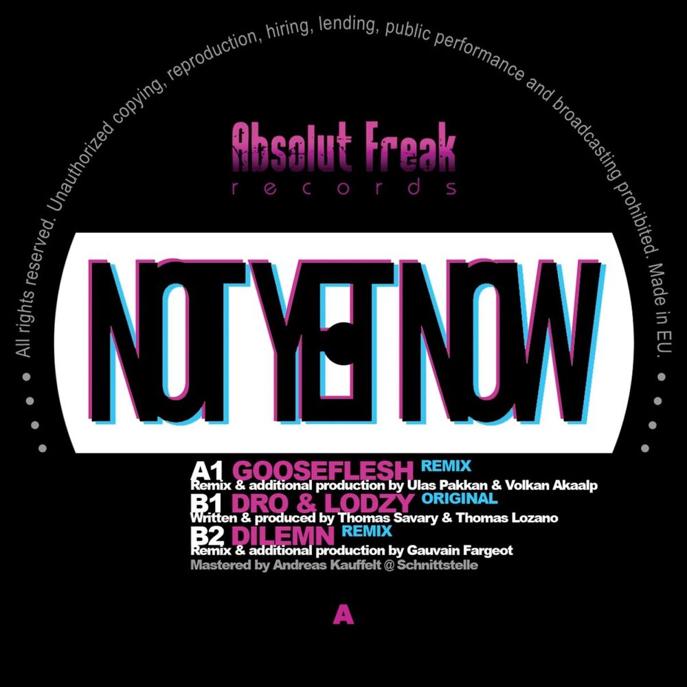 Picture of Not Yet Now