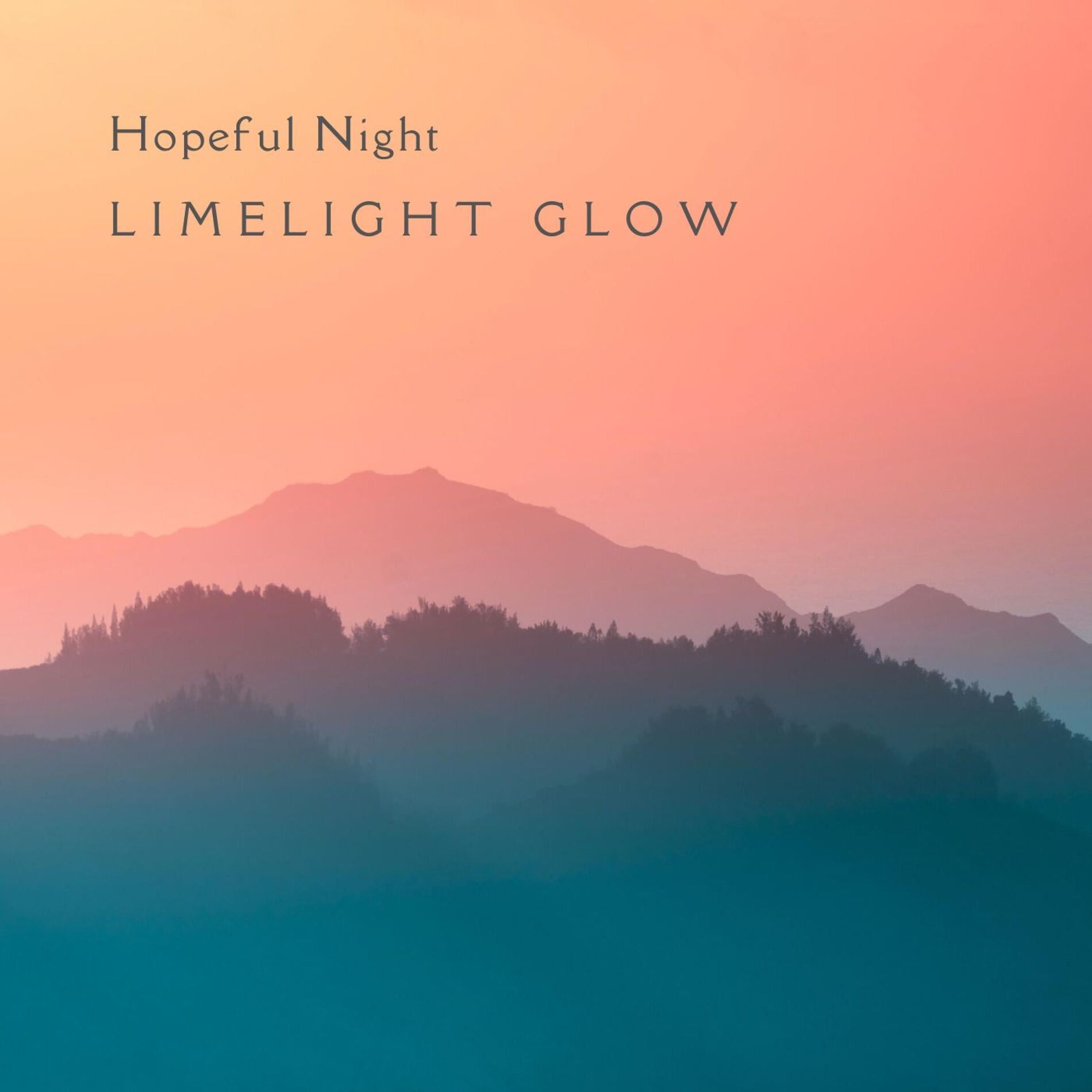 Album cover of Hopeful Night