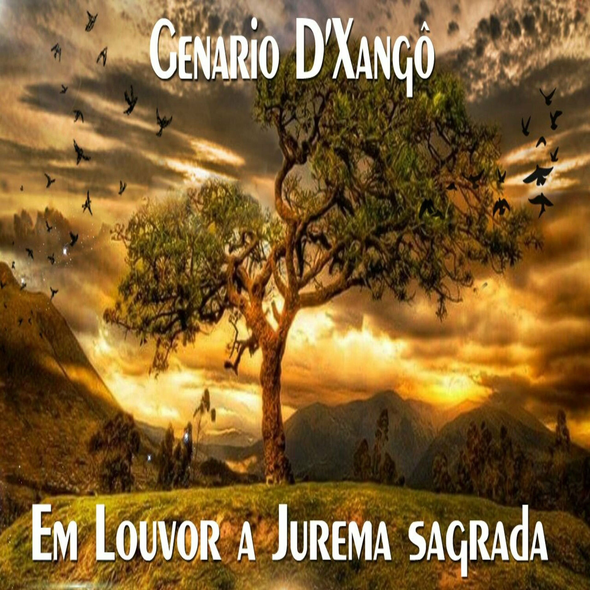 Album cover of Em Louvor a Jurema Sagrada