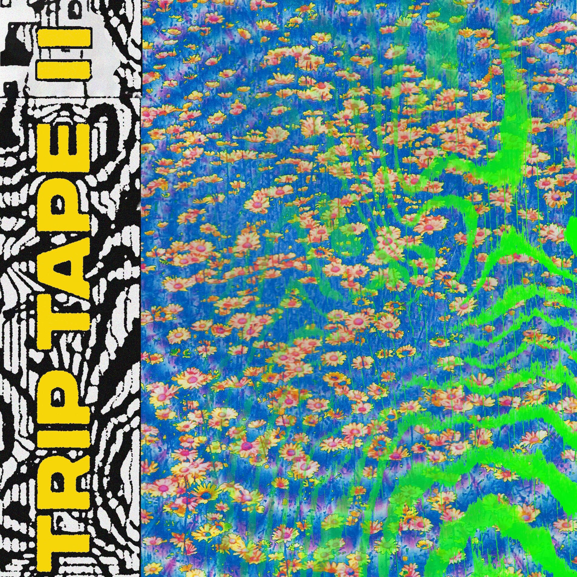 Album cover of Synchronize