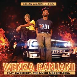 Cover of Wenza Kanjani