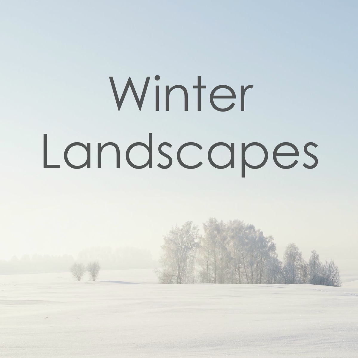 Album cover of Winter Landscapes - Great Soundtracks