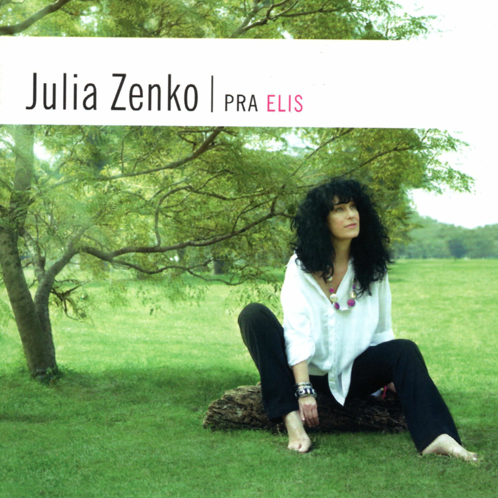 Album cover of Pra Elis