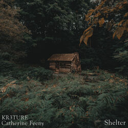 Cover of Shelter