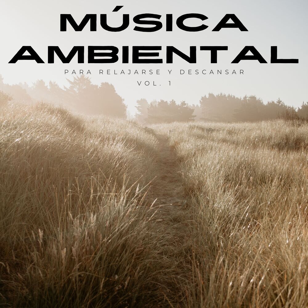 Picture of Música Ambiental Para Relajarse Y Descansar Vol. 1